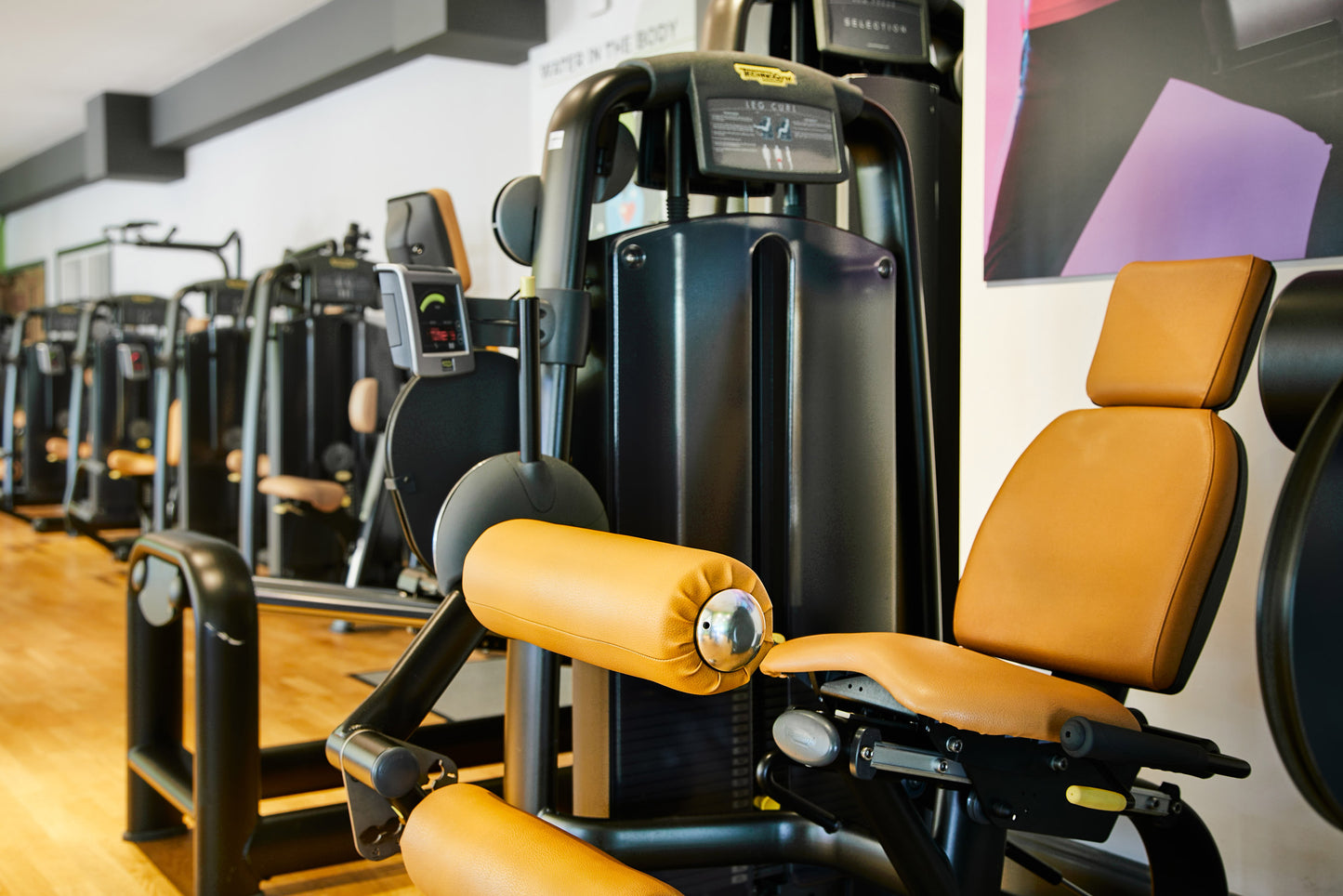Lion Quays, Shropshire: Leisure Club Membership Annual